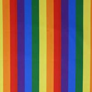 Rainbow Pride Stripe 25mm Small