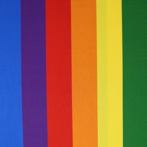 Rainbow Pride Stripe 60mm Large